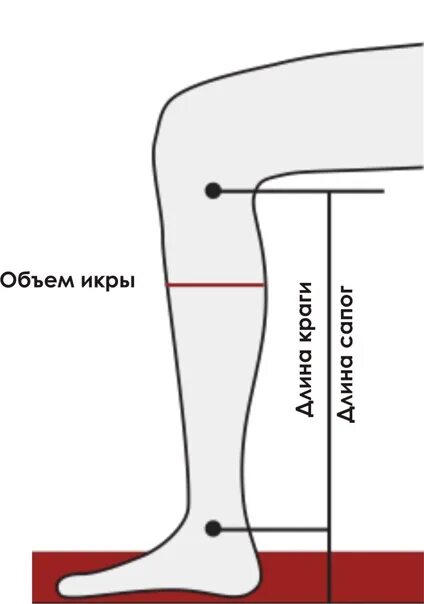 Как измерить краги для верховой езды. Обхват икры. Замер голени для сапог. Снятие Мерк для пошива обуви. Обхват голенища сапог