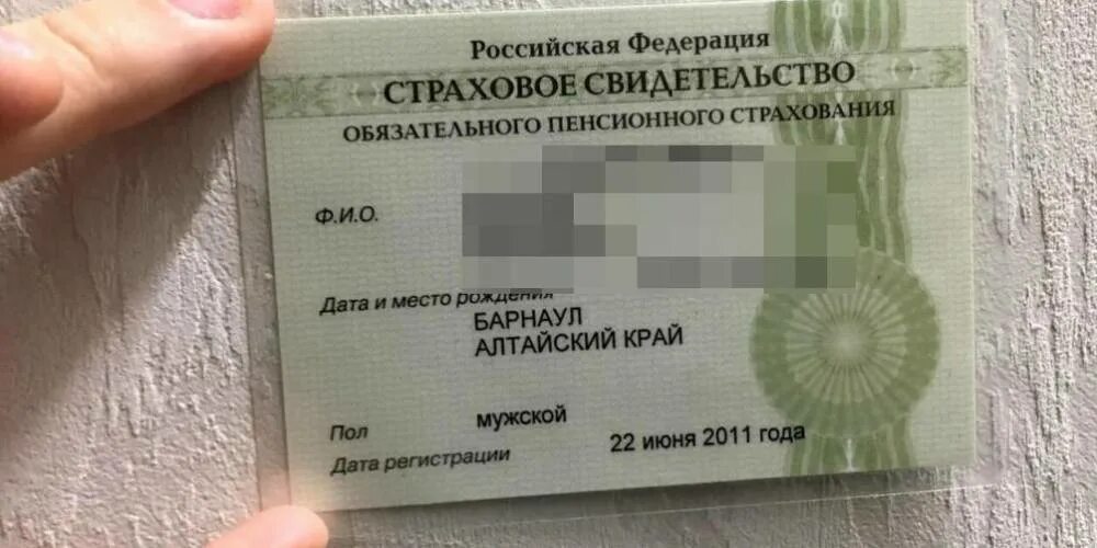 Как получить пластиковый снилс. Снилс. номер снилс. снилс фото. новый снилс.