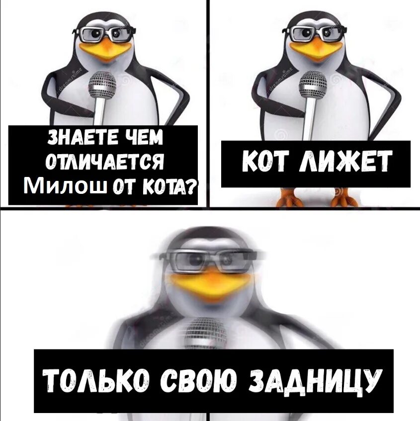 Знаешь чем отличается. Анекдоты про отличия. Смешные отличия. В чем отличие анекдоты.