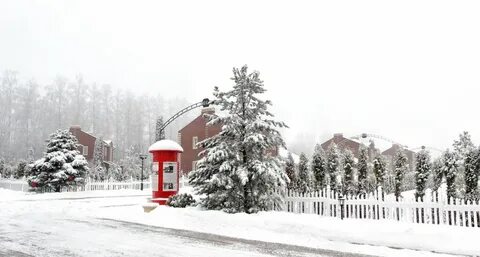 Коттеджный поселок чувства тула