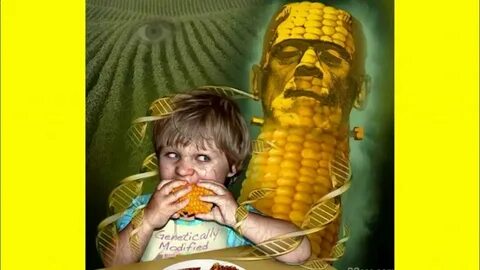 Гмо люди
