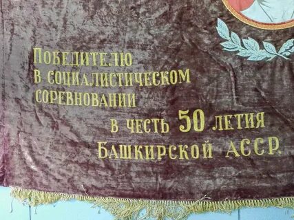 Образование басср