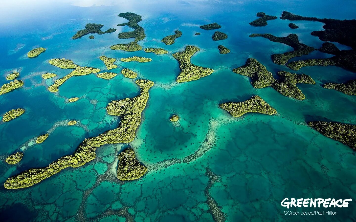 Тихий океан самые крупные острова. Коралловое море со спутника. Pacific Ceanul. Pacific Дубай. Лагуна Марово, остров Нью Джорджия,.