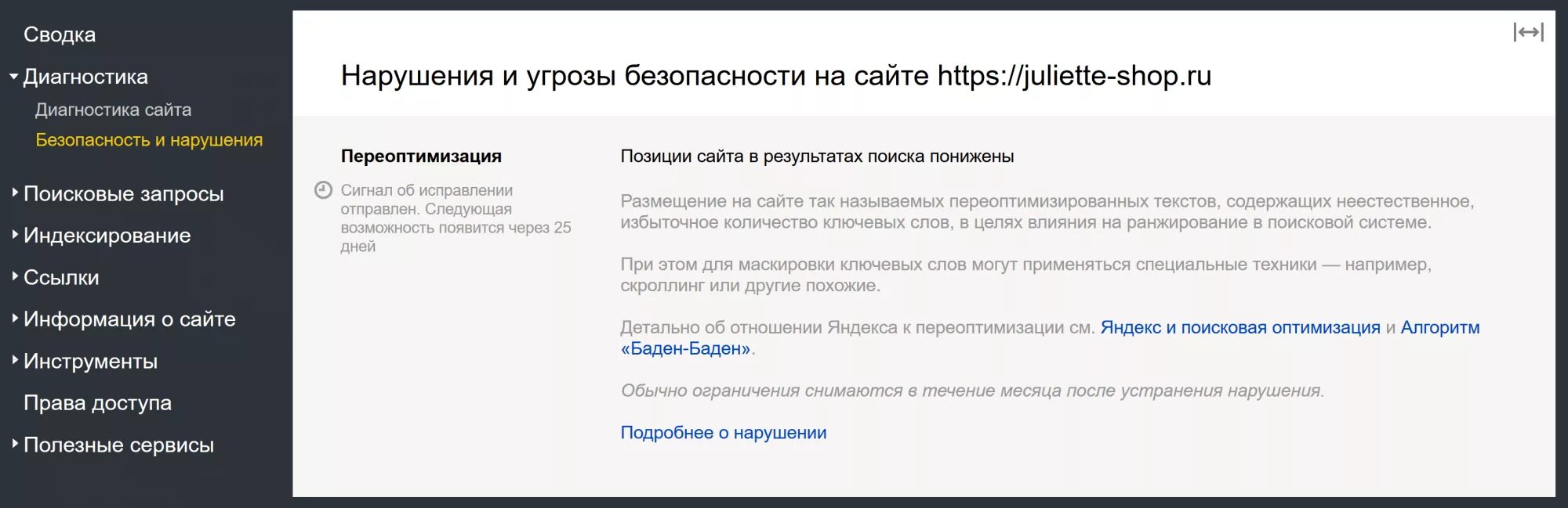 Аналогичные сообщения. Переоптимизация текста. Диагностика сайта. Вебмастер.