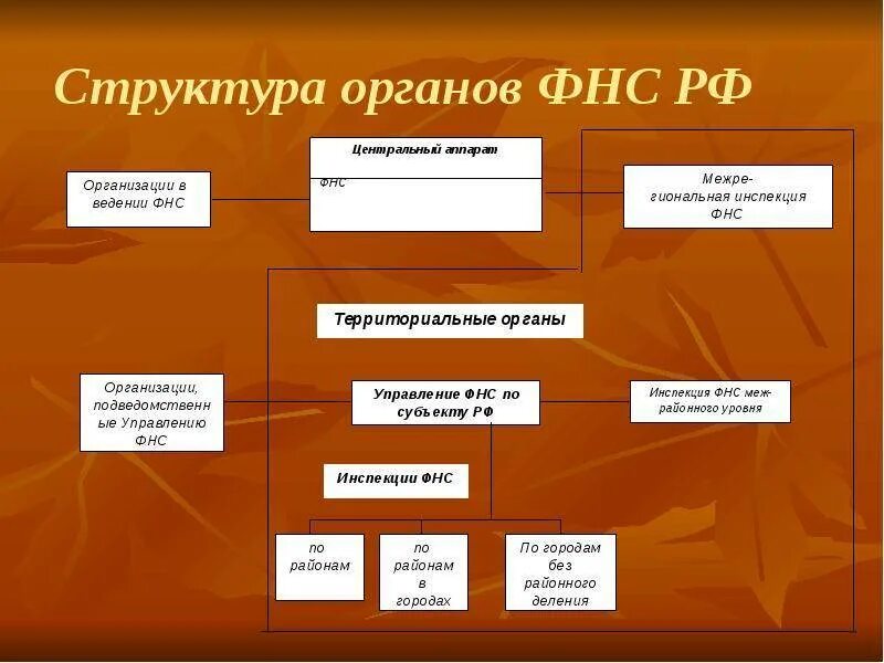 Подразделение федеральной налоговой службы. Организационная структура ФНС России схема. Структура Федеральной налоговой службы РФ. Структура ФНС России 2023 схема. Структура ФНС России.