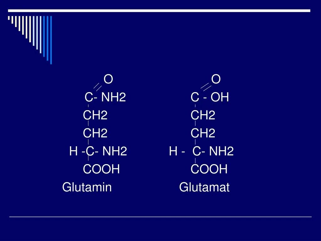 Ch ch ch3cooh. Nh2ch2ch2cooh. Nh2-ch2-ch2-ch2-Cooh. Nh2ch2conhch2cooh. Nh2c=ch2.