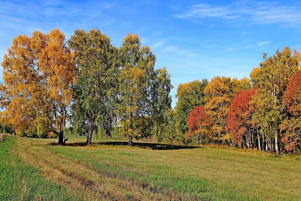 В конце месяца сентября