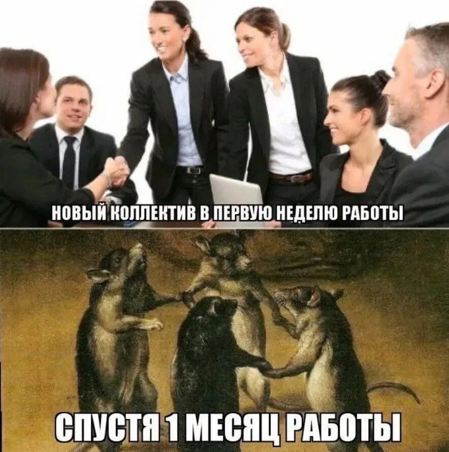 Мем хорошая работа. Новый коллектив мем. дружный коллектив мем. мемы про новенького в коллективе. мемы про коллектив.