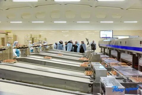 Синявинская птицефабрика магазин