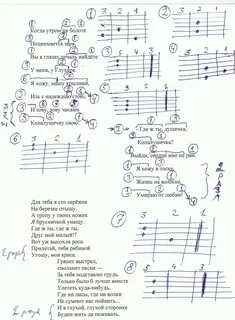Бой на суку сидит ворона