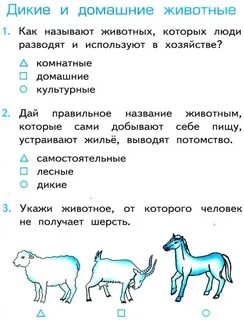 Проверочная работа взаимоотношения человека и животных