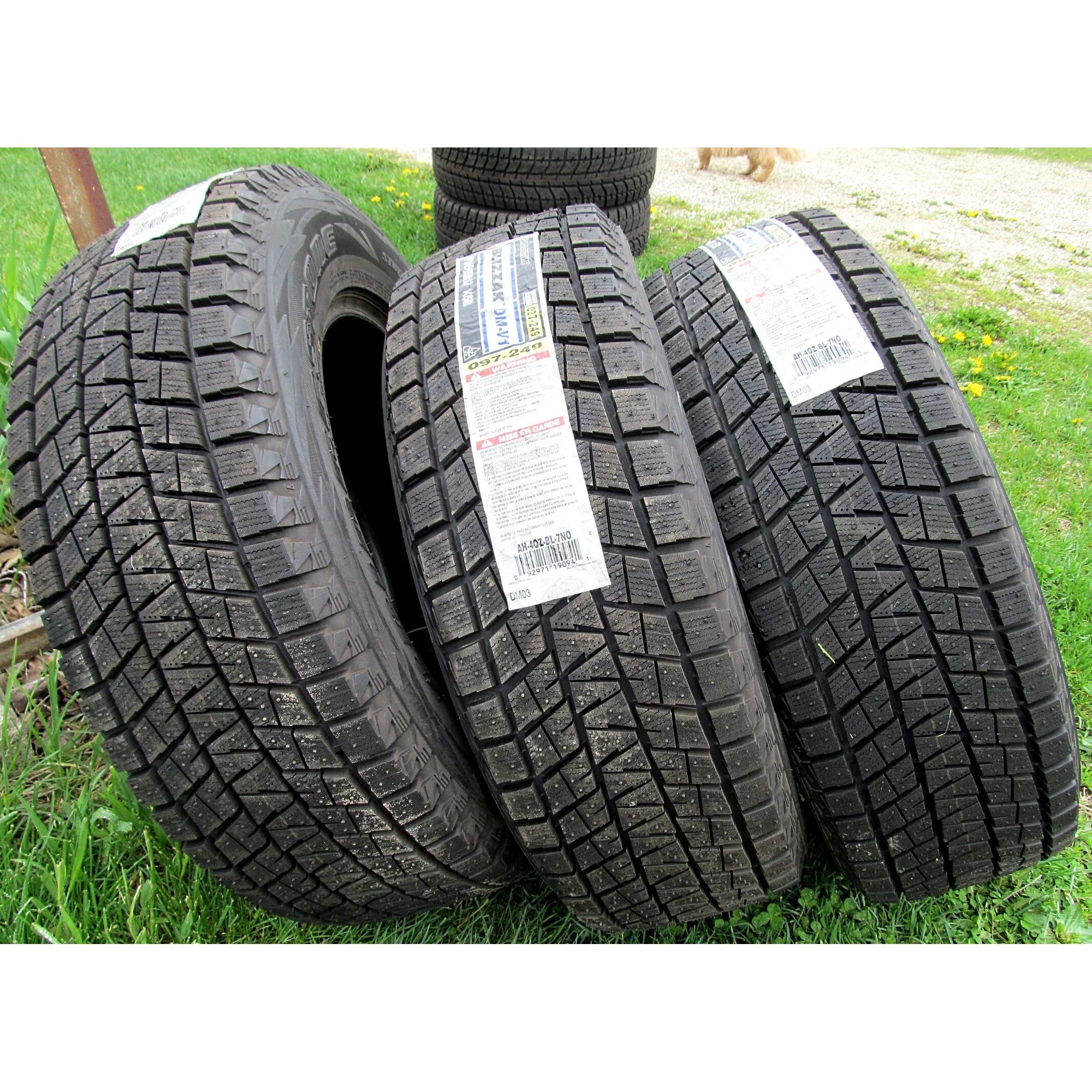 Bridgestone blizzak dm-v1 зимняя. Bridgestone blizzak dm-v1. Bridgestone blizzak dm-v1. Резина бриджстоун blizzak dm v1. Автомобильная шина bridgestone blizzak dm-z3 225/70 r16 100q зимняя.