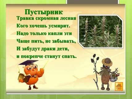 Зеленая трава стих