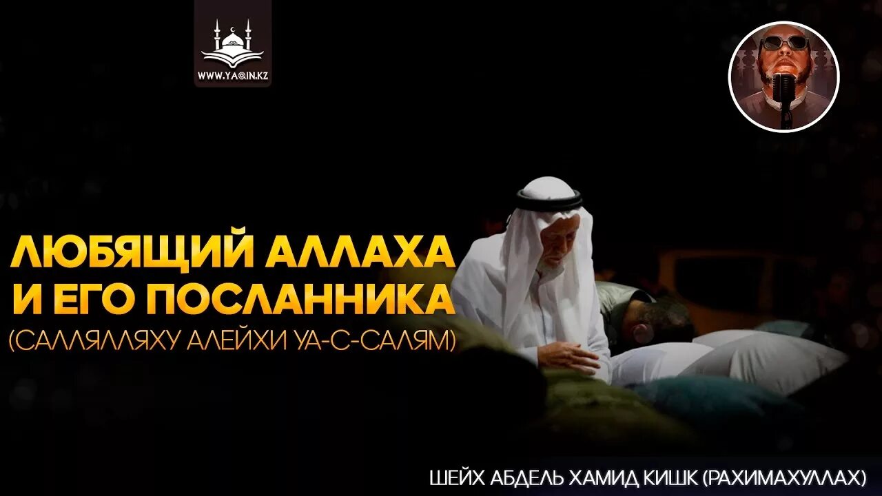 Кошка пророка мухаммада саллаллаху
