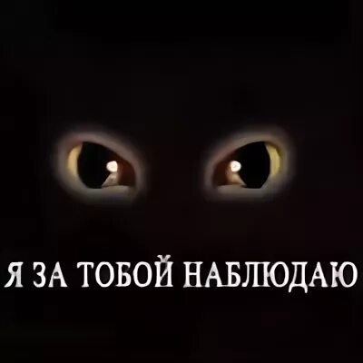 Кто то и большой наблюдает за тобой. Я за тобой наблюдаю картинки. Глаз наблюдает за тобой. Аватарка я наблюдаю.