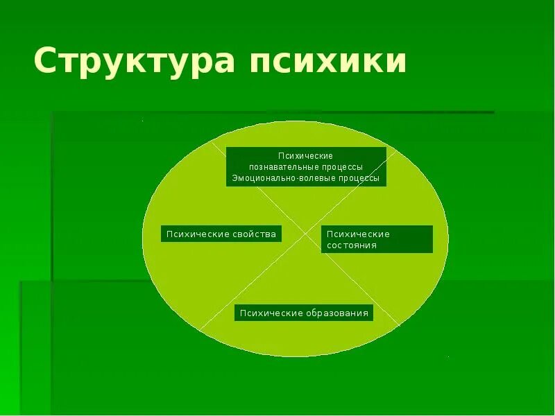 Черты познавательных процессов. Структура психики. Иерархия психических познавательных процессов. Структура психики психические процессы. Познавательные психические процессы.