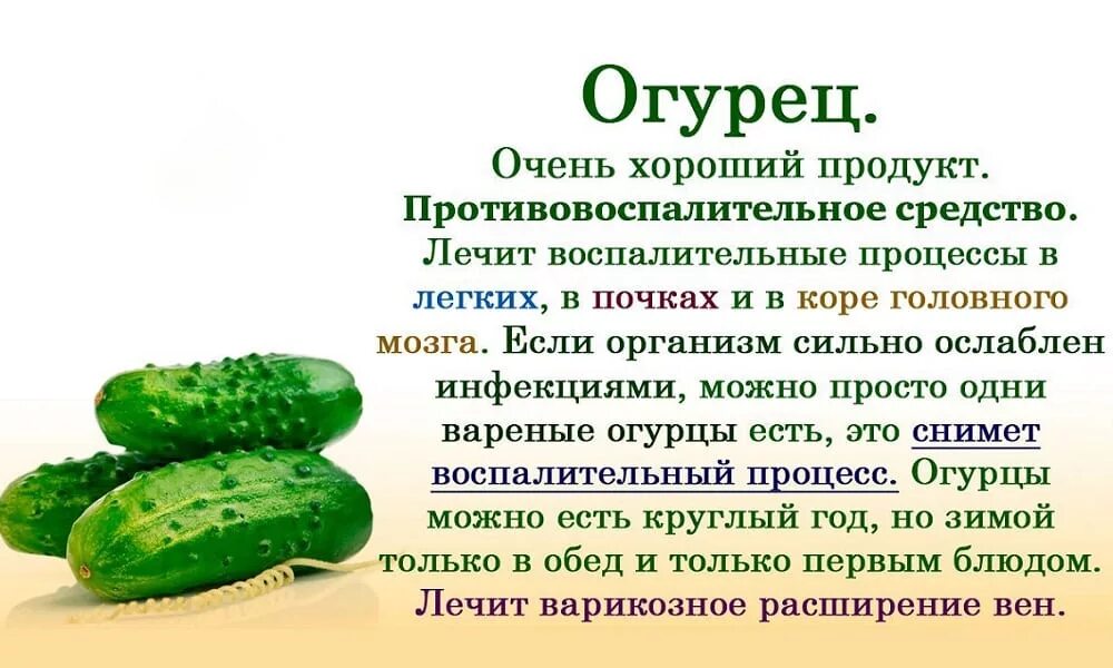 Можно ли есть свежий. Чем полезны огурцы. Полезные свойства огурца. Чем полезен огурец для организма. Пользаогрцов для организма.