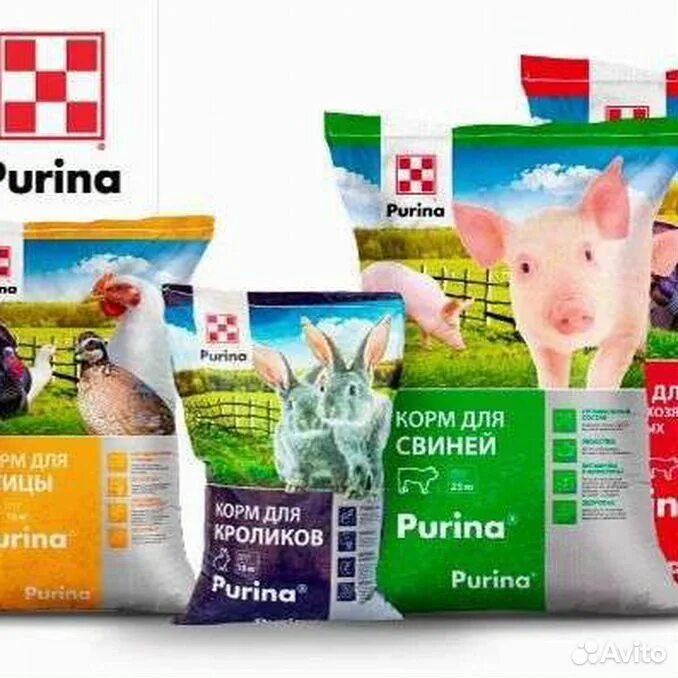 Purina one говядина для кошек. Корм purina pro plan для собак. Корм для собак purina one говядина 8шт. Pro plan optidigest для собак. Корм проплан медиум для собак.
