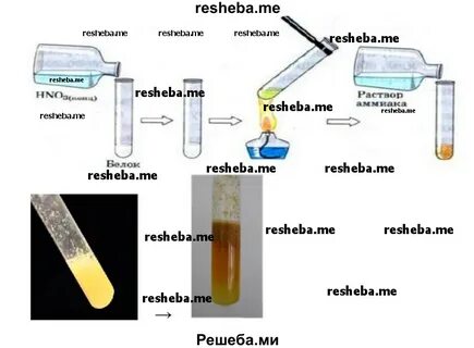 Обнаружение белков с помощью качественных реакций 10