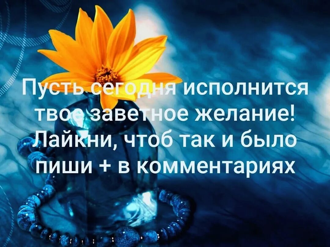 Пусть желания исполняются. Пусть желания сбываются. Пусть все желания сбудутся. Пусть все мечты исполнятся.