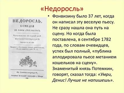 Почему произведение назвали недоросль