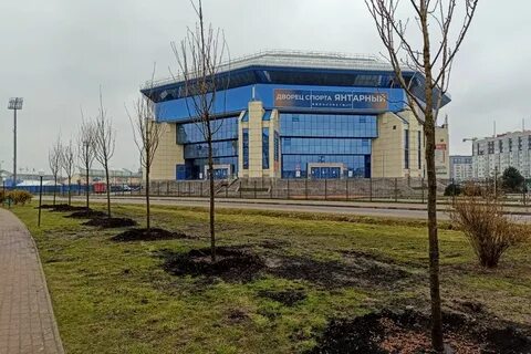 Янтарный олимп 2023 калининград