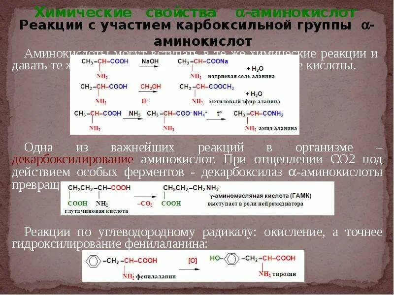 Реакции аминокислот по карбоксильной. Реакции аминокислот по аминогруппе и по карбоксильной группе. Аминокислоты реакции по карбоксильной группе группе. Реакции протекающие по карбоксильной группе аминокислот. Реакции по карбоксильной группе