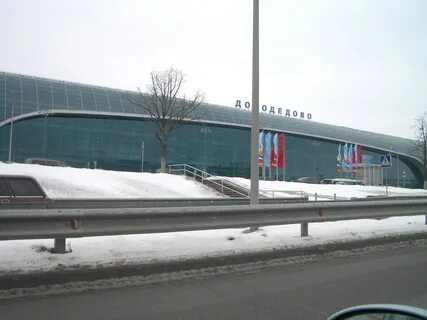 Москва новосибирск домодедово