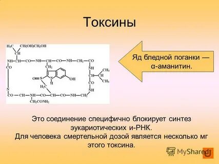 Токсины это