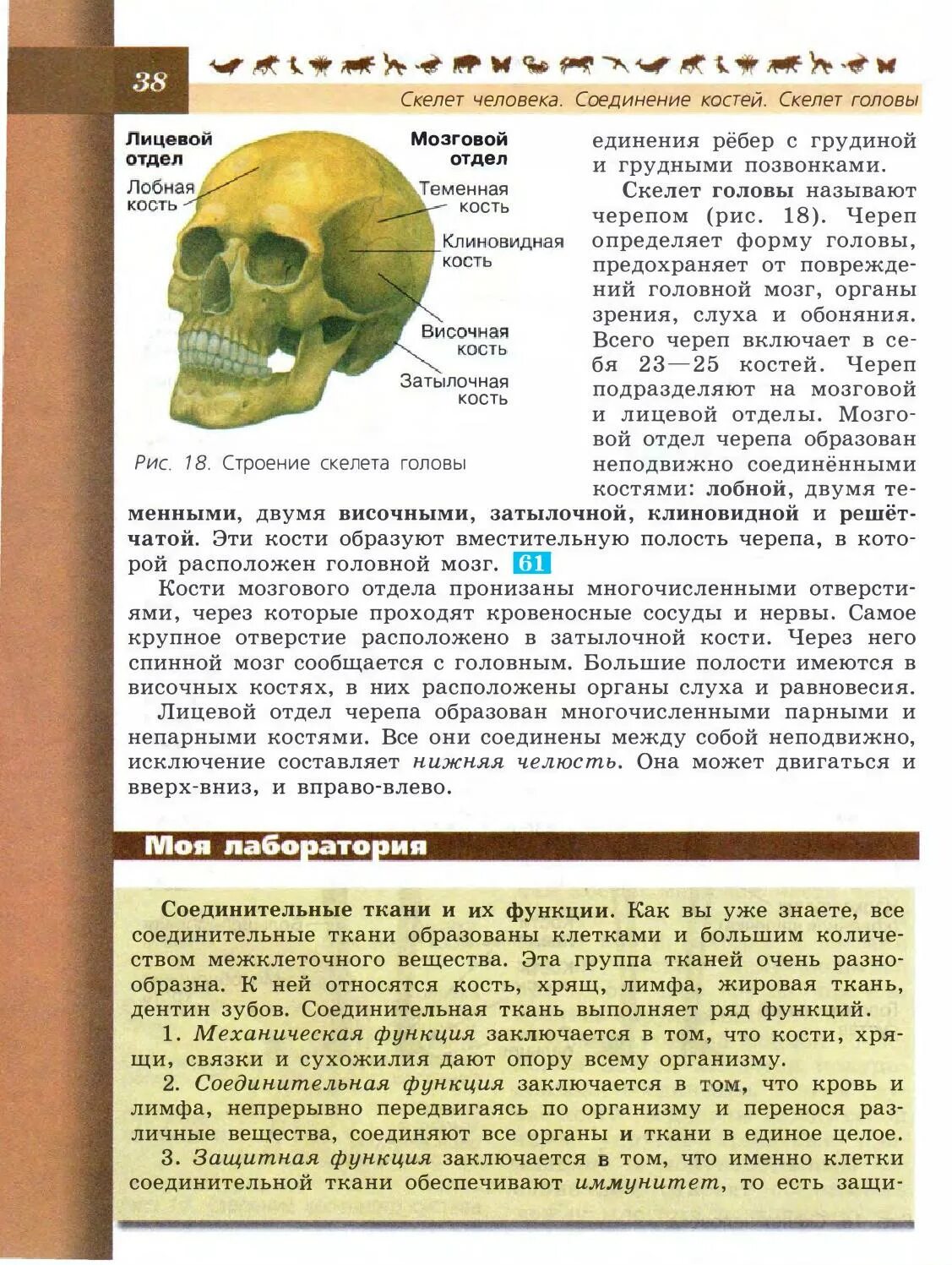 Книга биология 8 класс пасечник. Учебник по биологии 8 класс. Строение коленного сустава биология 8 класс пасечник. Биология 8 класс учебник пасечник человек. Биология 8 класс учебник пасечник человек.