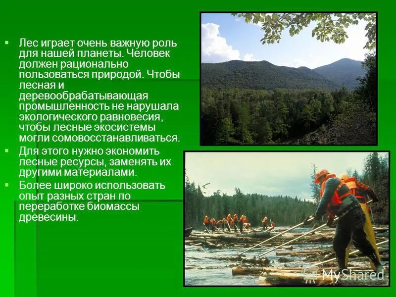Охрана лесной промышленности. Лесная и деревообрабатывающая промышленность. Лесные богатства нашей планеты. Охрана лесной промышленности. Охрана лесной промышленности.