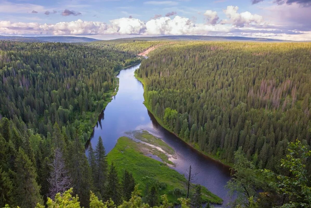 Пермский край. Тайга Пермский край. Пермь Тайга. Тайга-лес Пермь. Тайга Урала.