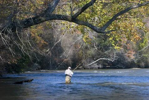 Fishing dance