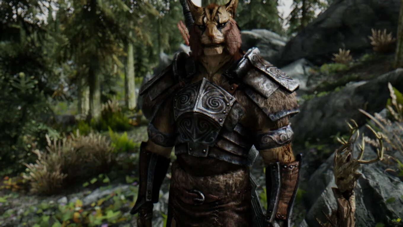 The elder scrolls 5 skyrim геймплей. Скайрим лук эпируса. Скайрим elder scrolls 5 скриншоты. Скайрим привлечь. Tes клавикус вайл.