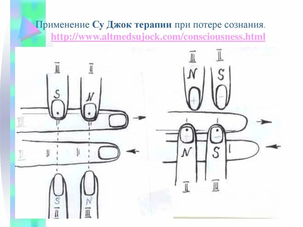 Су джок академия сайт. Су Джок терапия кисть. Бель МЕРИДИАНВ Су Джок.т. Су Джок терапия меридианы. Бель чакры Су Джок.