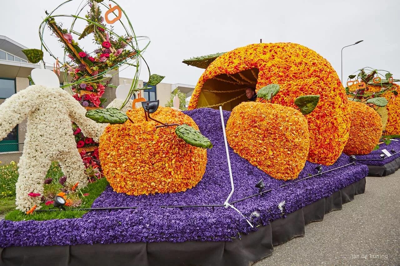 Кёкенхоф нидерланды парад цветов. Поделка парад цветов. Парад цветов поделка в сад. Парад цветов в детском саду. Парад цветов в детском саду.