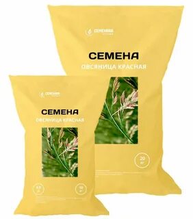 Семена овсяница красная