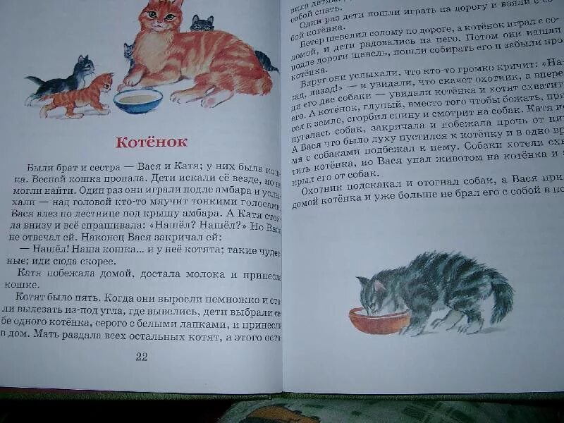 Сказка Льва Николаевича Толстого котёнок. Л Н толстой сказка котенок книга. Котёнок Лев Николаевич толстой книга. Рассказ Льва Николаевича Толстого котенок.