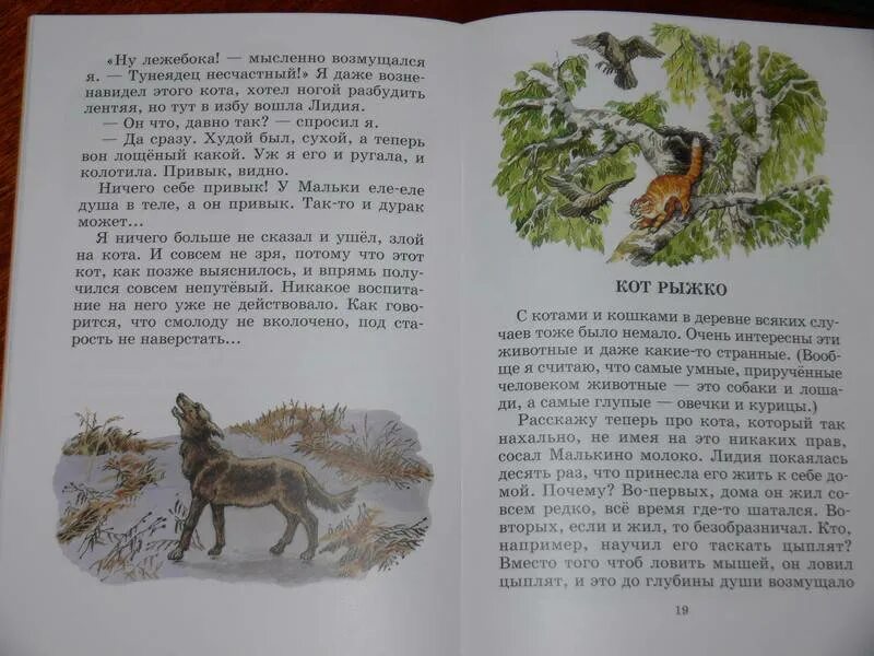 Книга белова о мальке какие еще рассказы