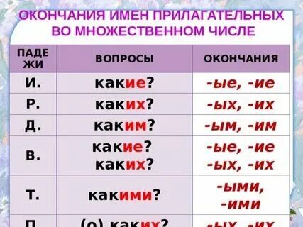 Род прилагательного во множественном числе как определить