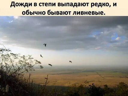 Осадки в степи