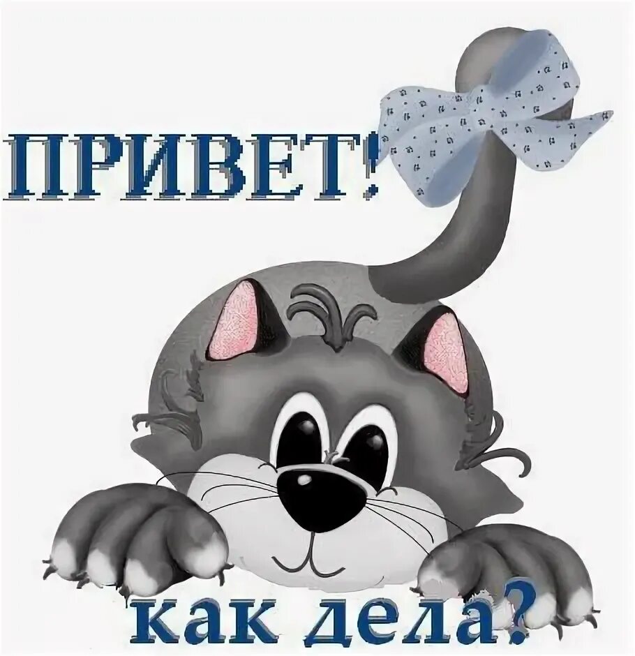 Pin by Gulnara on ПРИВЕТ ВСЕМ! Animals, Good morning, Cats