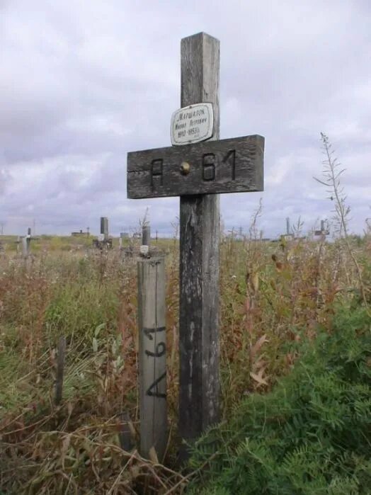 Кладбище новочеркасской тюрьмы[120]. Гулаг места захоронения. Гулаг соловецкие острова могилы. Городское кладбище «заовражье». Могилы зеков.