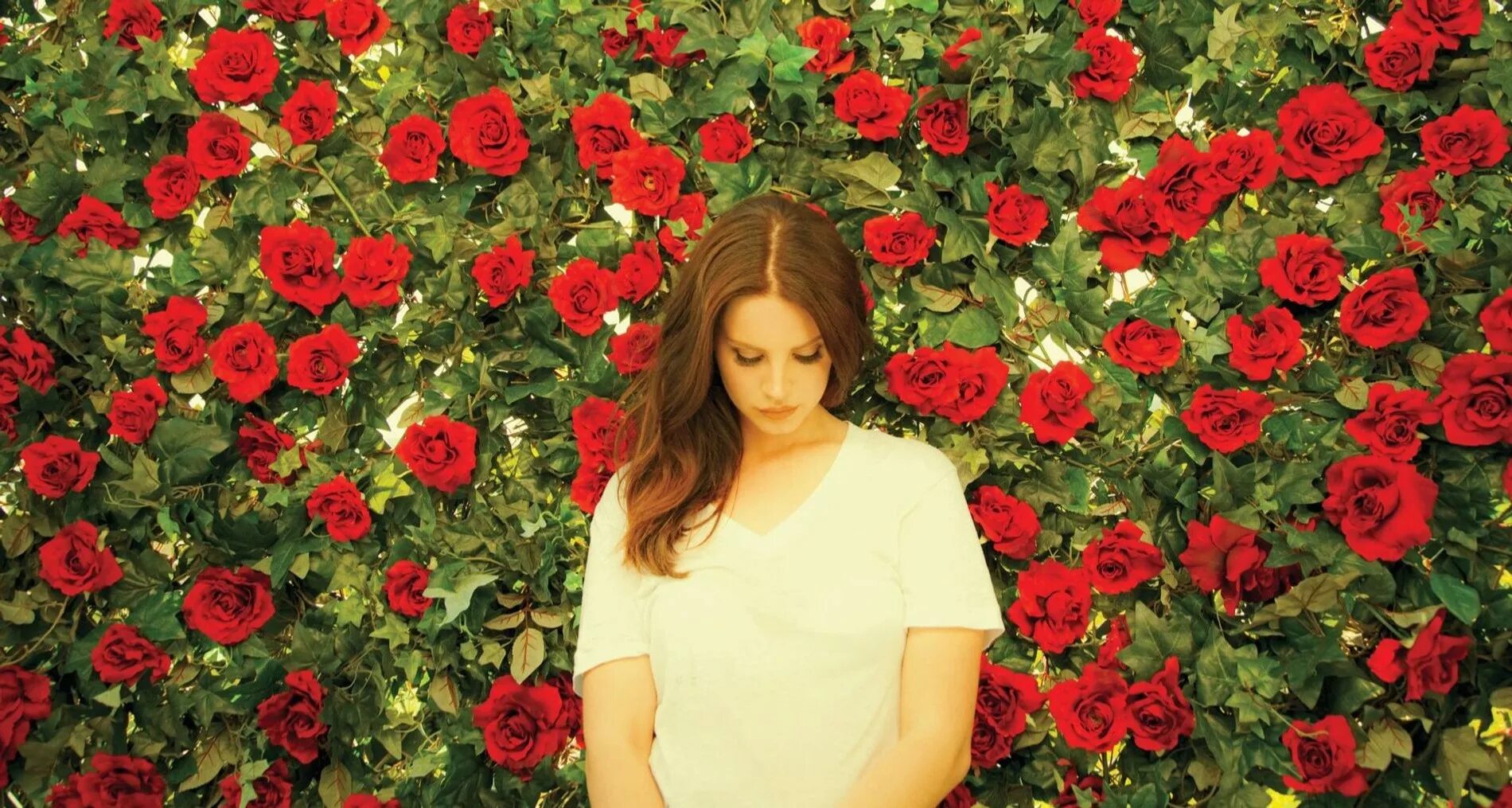 Lana del rey roses. Lana del rey roses. Lana del rey roses. Ландель рей. Lana del rey roses.