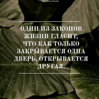 Цитаты со смыслом про книги