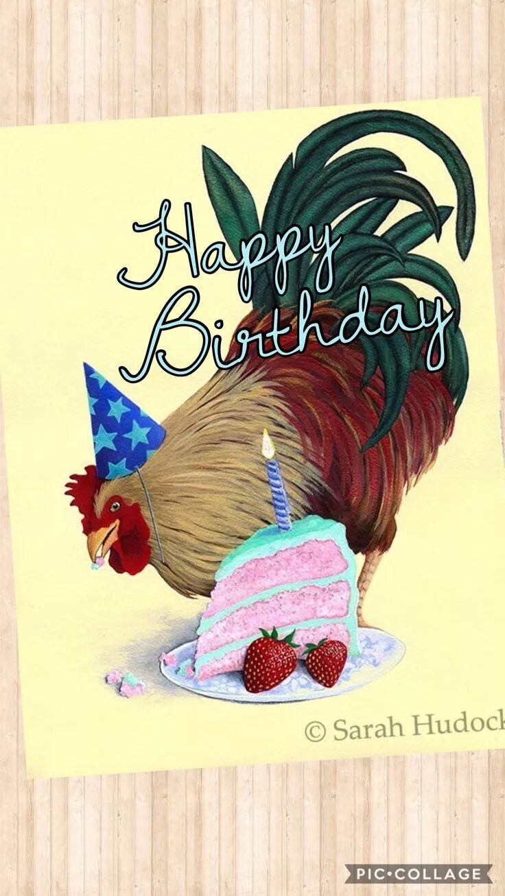 С днем рождения курица. Открытка с курицей на день рождения. С днём рождения Курочка моя. Поздравление курицы.