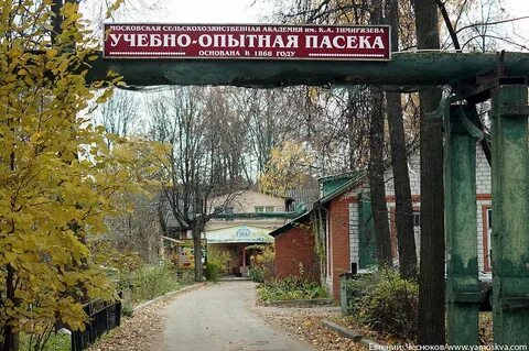 Тимирязевское направление