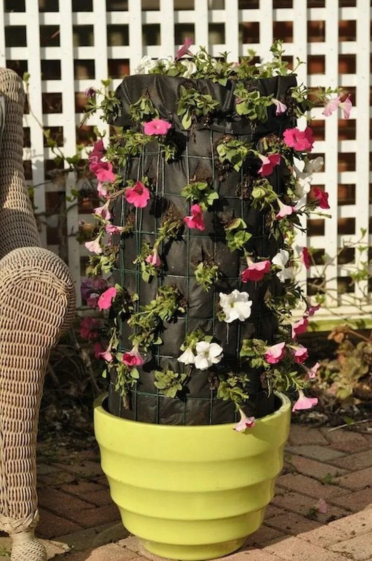 Вертикальная клумба для петунии. Цветочная башня flower tower. петунья вертикальная грядка. вертикальная клумба для цветов. вертикальные клумбы.