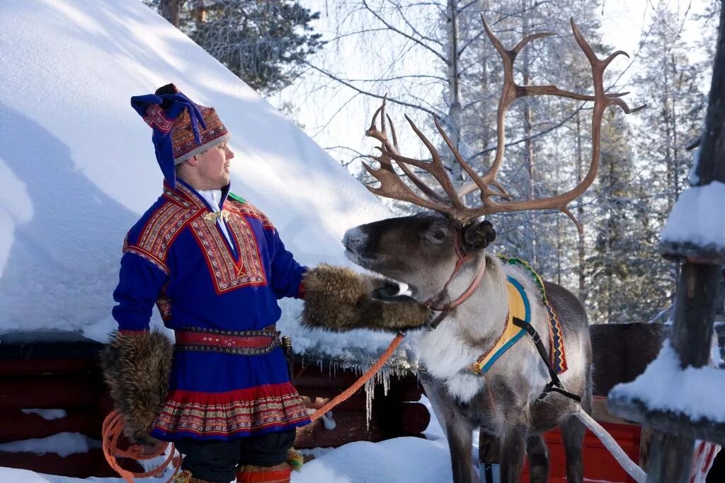 Северные развлечения