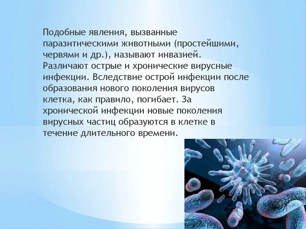 Вирусов в природе и жизни человека. Вирусы в природе и жизни человека. Роль вирусов в жизни человека. Роль вирусов в природе и жизни человека. Роль вирусов в природе и для человека.